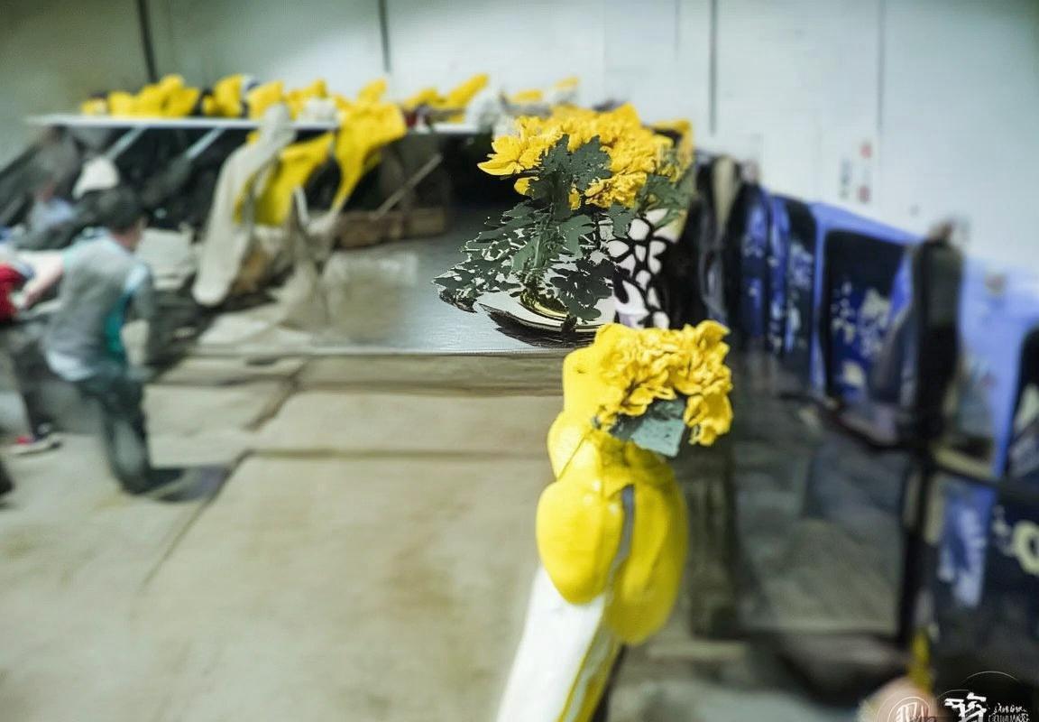 法国女篮vs黑山女篮：激战对决深度分析(图3)